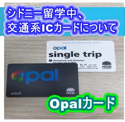 OPALカード】オーストラリアのシドニーに留学中、お世話になるICカード